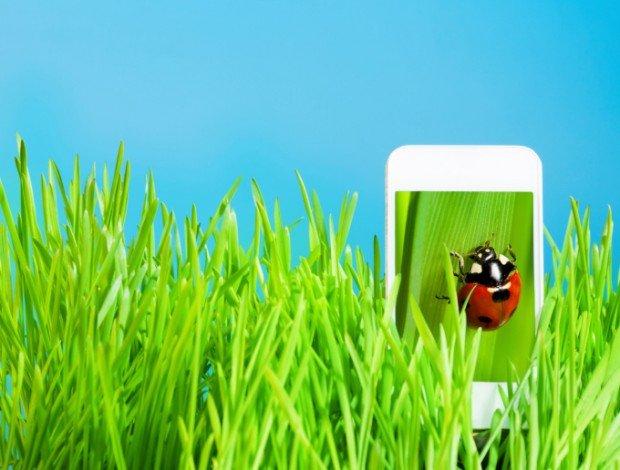 10 app green da scaricare subito per una vita eco-friendly