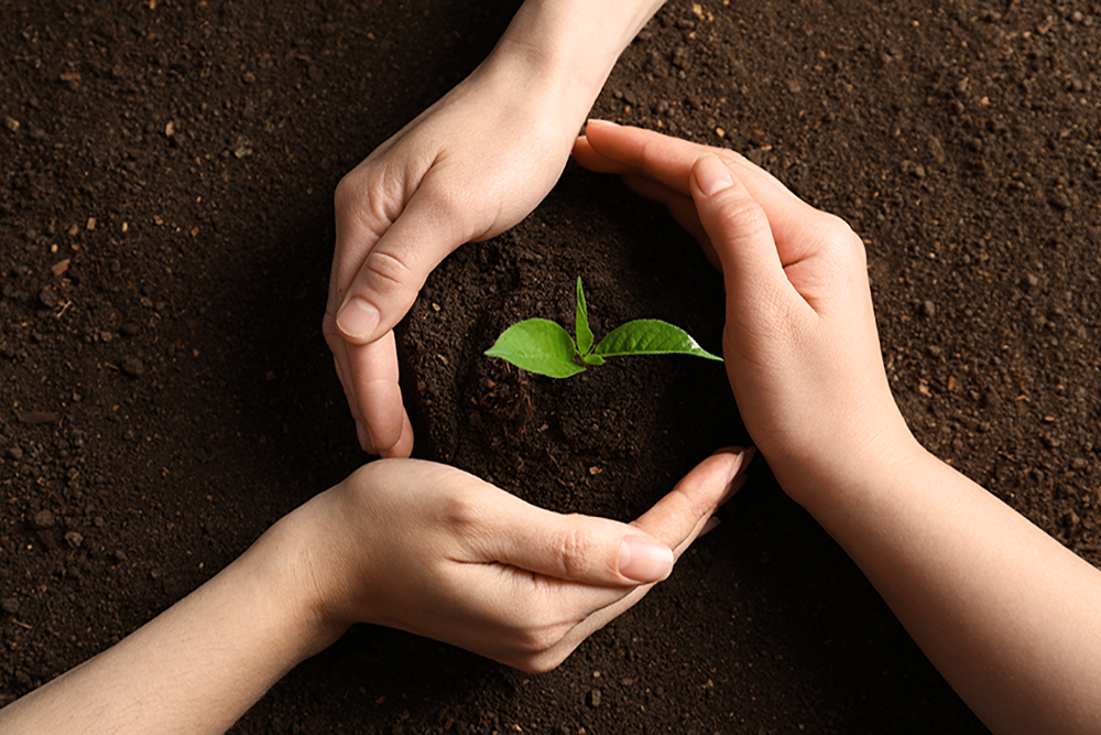 vivta-eco-friendly