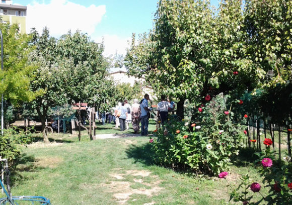 Fattoria dei Ragazzi nel Quartiere 4