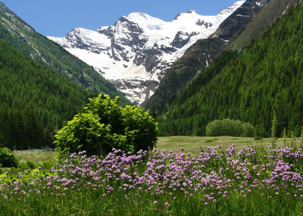 Crescita della Consapevolezza Ambientale in Italia