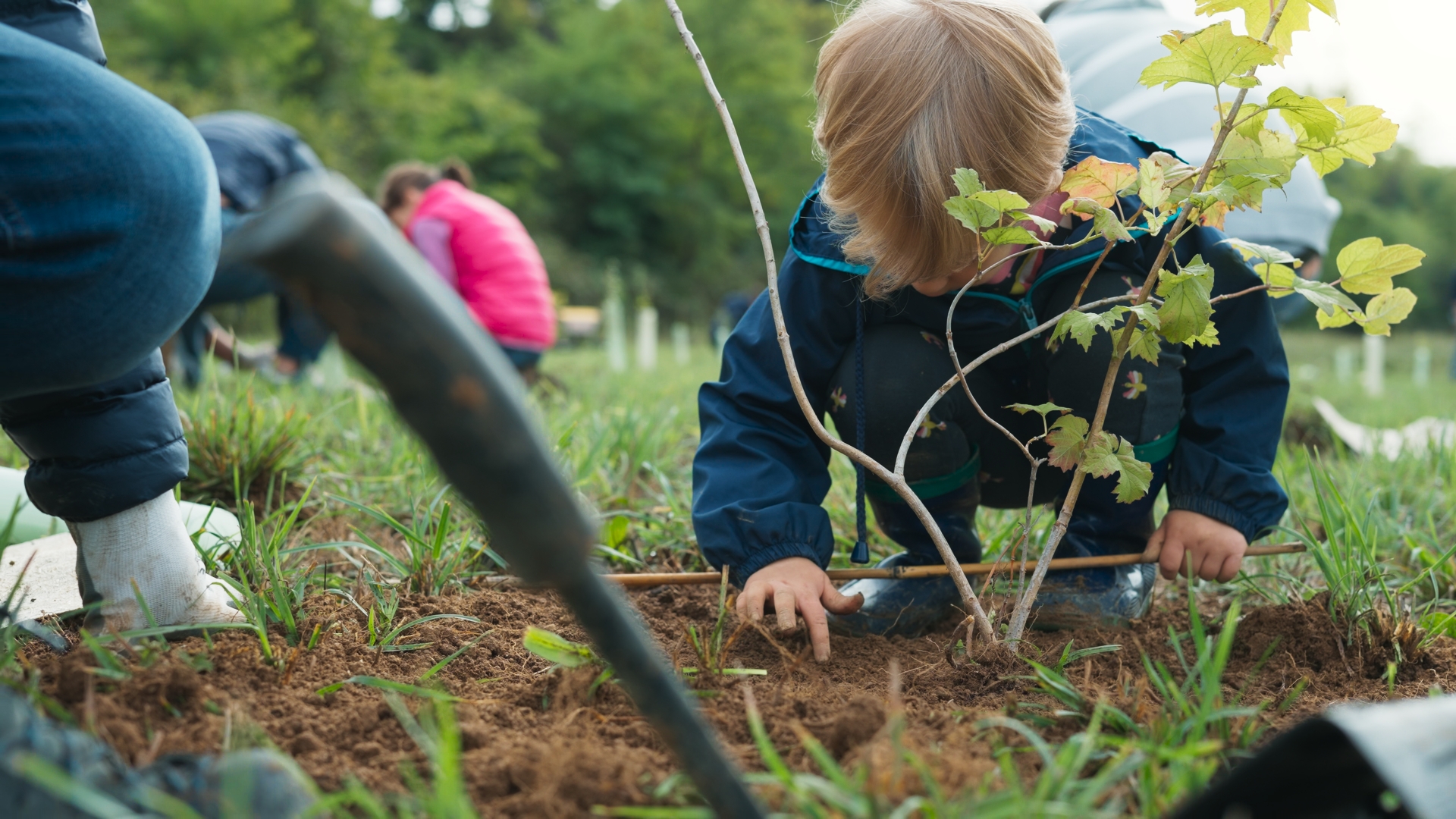 Biodiversità in Italia: consumatori scettici sulle politiche nazionali, ma le aziende sono pronte al cambiamento