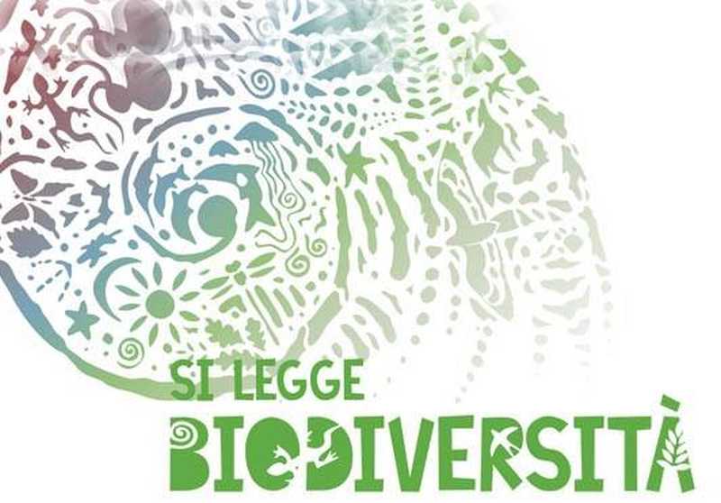 Oggi è la Giornata Mondiale della Biodiversità, una ricorrenza che dovrebbe farci fermare e riflettere sulla straordinaria ricchezza di vita che ci circonda