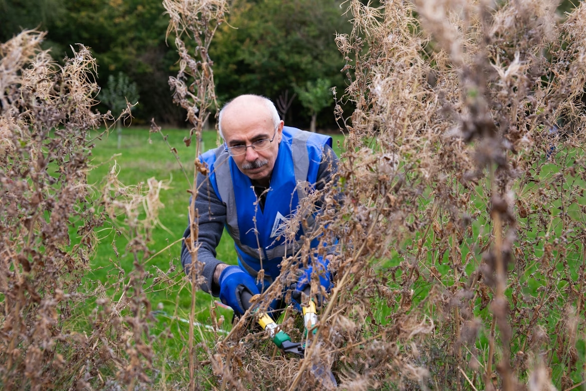 Le potature di febbraio: guida completa, albero per albero